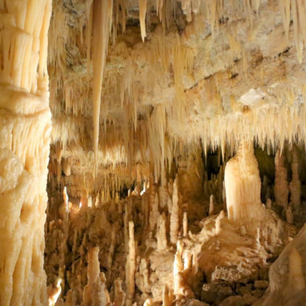 Day Trip Grotte di CastellanaLocorotondoOstuni2